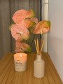IMG_7563.jpeg